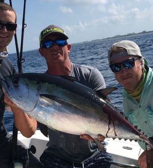 Blackfin Tuna wonders in Florida