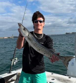 Feisty Barracuda—sharp and sleek.