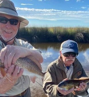 Redfish in Horseshoe Beach