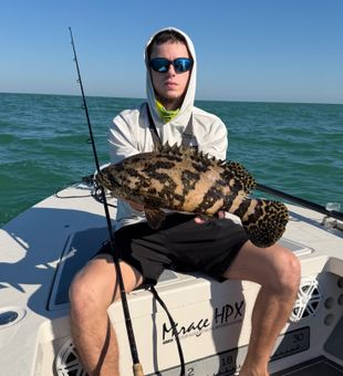 Couple good Goliath groupers for yesterday’s trip. Always fun on light tackle !!!
