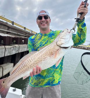 Another trophy redfish in the books!