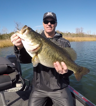 This Decker Lake bassquatch nailed an Alabama Rig!