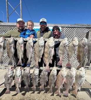 Outstanding black drum haul in Corpus Christi!