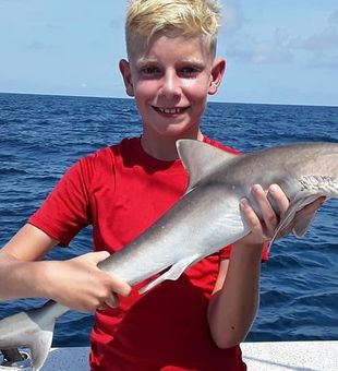 Shark from North Carolina