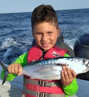 Bluefin Tuna  from North Carolina