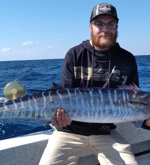 Wahoo from North Carolina