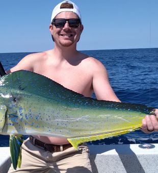 Mahi Mahi from North Carolina