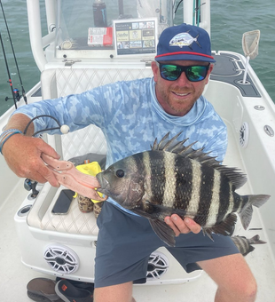 Awesome Sheepshead catch! Striking stripes and big