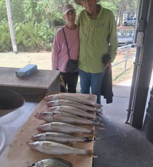 Spend the day exploring the beautiful waters of Valentine, Nebraska, while targeting a variety of freshwater game fish with an experienced local guide.