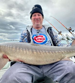 The fight that can last for several hours - Algonac, MI.