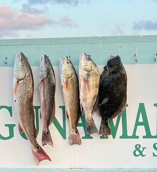 Rockport’s waters full of reds and flatties.