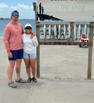 Big catch of speckled trout at Rockport pier!