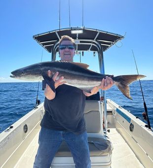 Thrilling cobia capture in Charleston.