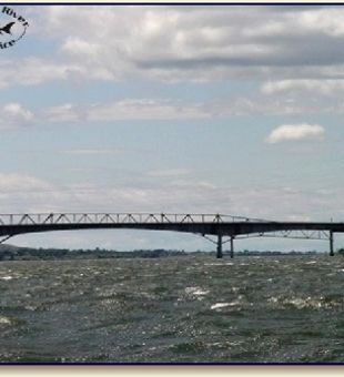 5 Hour Charter Fishing Trip