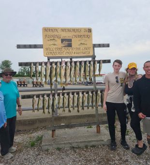 Lake Erie Walleye Catch