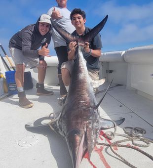 Fall sword fishing at its finest 