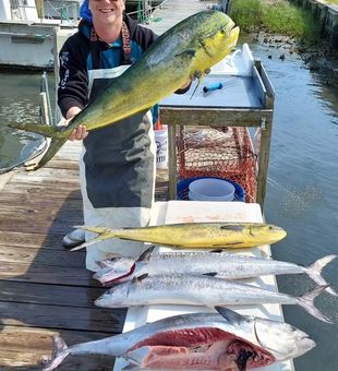 Big bites in Atlantic Beach waters! 