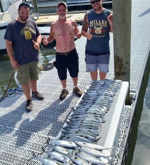 Carolina coast, big fish ahead!