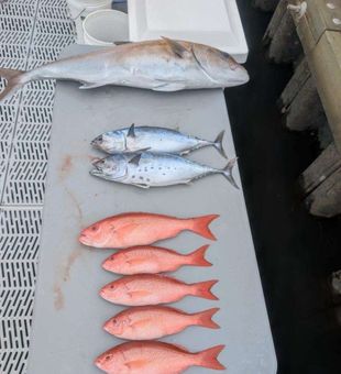 From the surf to offshore, Atlantic Beach fishing never disappoints.