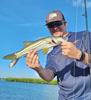 Snook