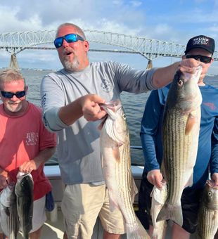 Top Striped Bass Excursions