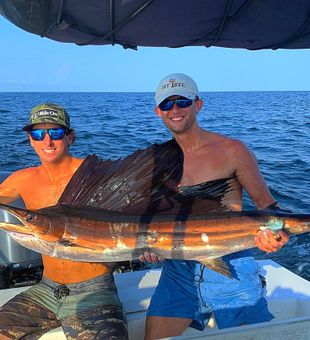 Hooked this Sailfish from Destin fishing