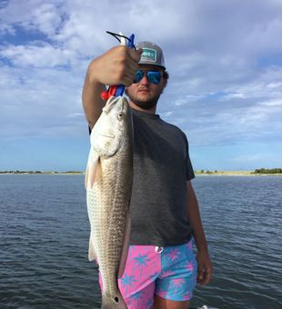Redfish—impressive.