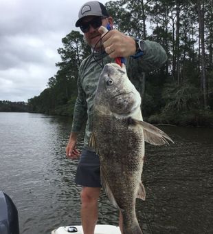 Another cast, another fish.