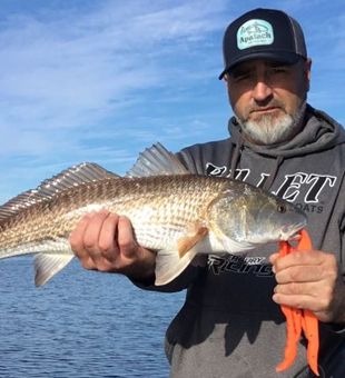 Florida redfish action on the water!