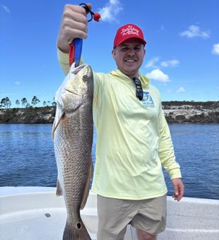 Explore the shallow waters of Port St. Joe for trophy redfish and trout on a guided inshore fishing charter.