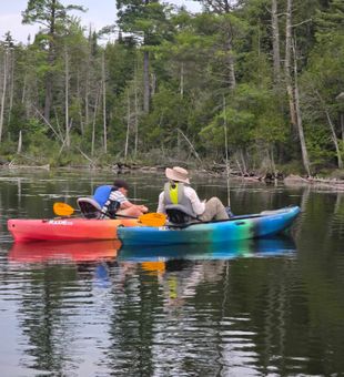 North River NY delivers excellent American Eel fishing opportunities.