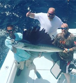 Sailfish Chase: A Fishing Highlight