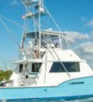 Chasin Finz II Sport Fishing