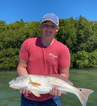 Redfish Fishing Fun Belleair Bluffs