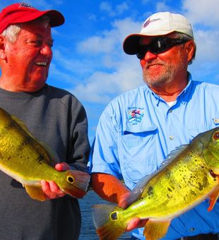 Experience the thrill of Peacock Bass fishing!