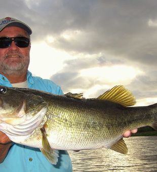 Get ready to hook into some Largemouth Bass action