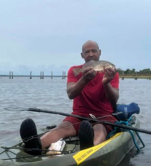 Reel fun in Tallahassee today