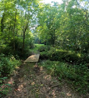 Footbridge to camp