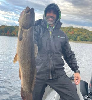 Bowfin bite stayed consistent