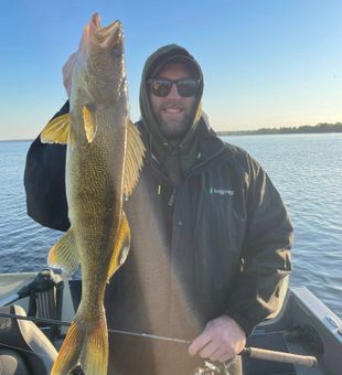 Fresh walleye catch