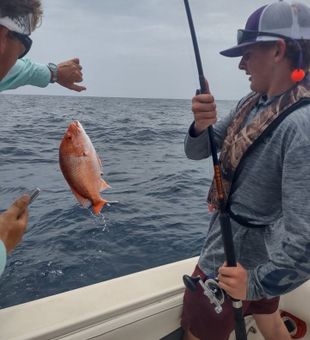 Finding fish along the coast.