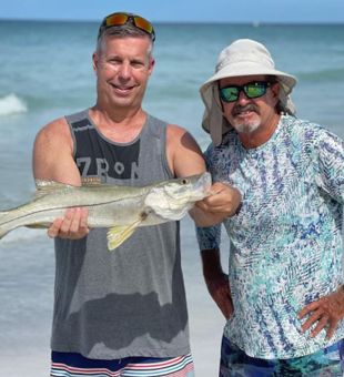 Snook in Gulf of Mexico