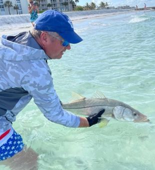 Snook in Gulf of Mexico