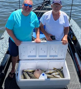 Fish Species Caught in Michigan