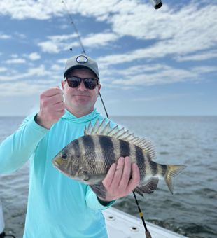 Sheepshead action!