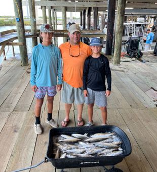 Golden Meadow Fish Bounty