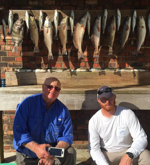 Catch Redfish in the Bayou Today