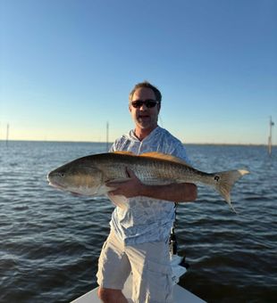 Giant Redfish in the Louisiana Marsh