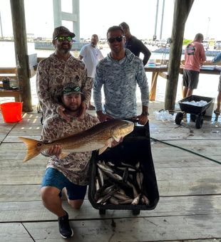 Red Drum Bliss in Louisiana 