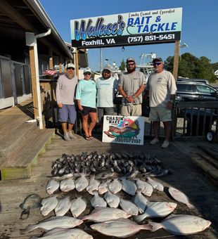 Outstanding mixed bag fishing results in Hampton VA!